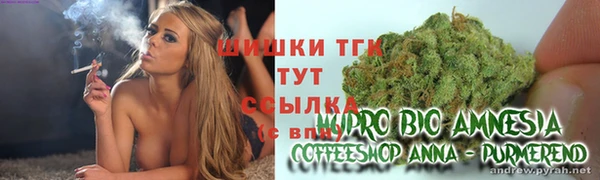 гидропоника Богданович
