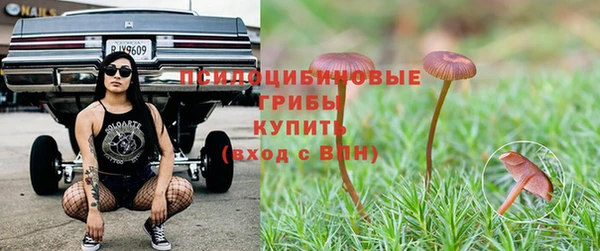 ALPHA-PVP Бородино