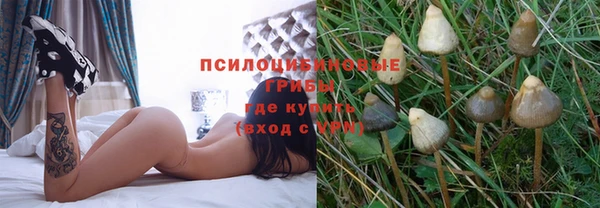 ALPHA-PVP Бородино