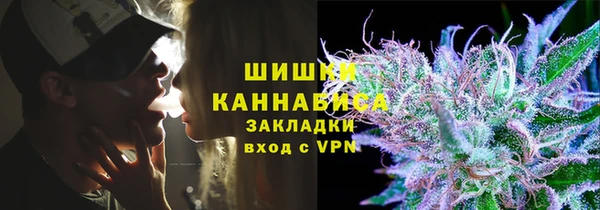 гидропоника Богданович
