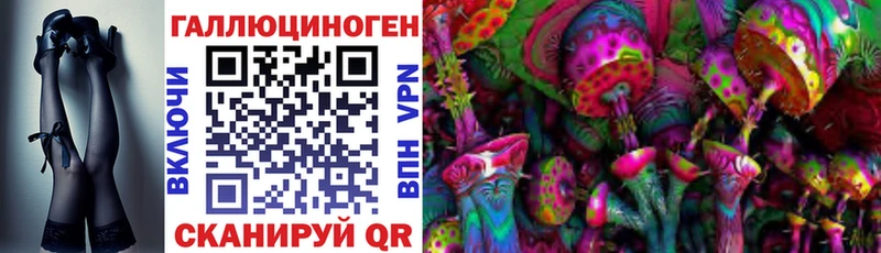 купить наркоту  Верхняя Пышма  кракен онион  Псилоцибиновые грибы Cubensis 