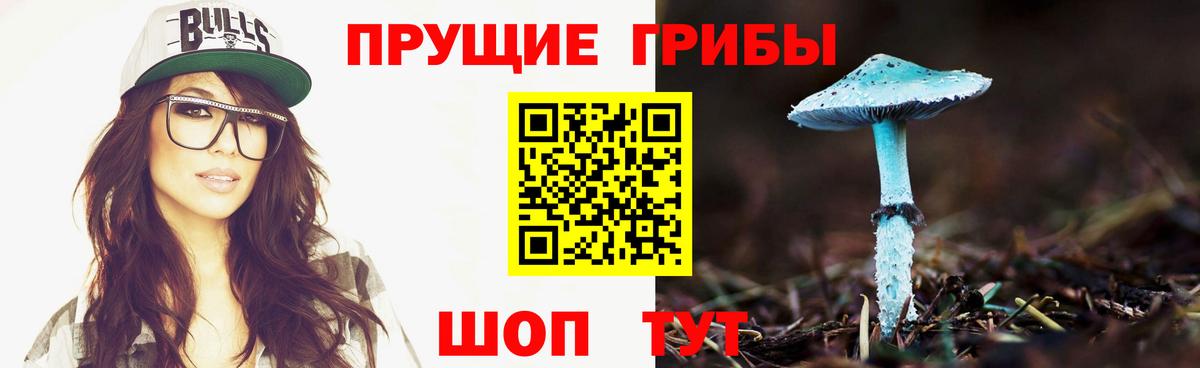 Верхняя Пышма  Псилоцибиновые грибы Psilocybe  Псилоцибиновые грибы Cubensis  Вход с VPN 
